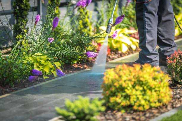 Best Driveway Pressure Washing  in Bethany, OK